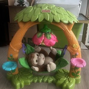 Interactive baby monkey in tree